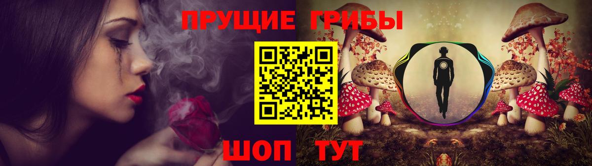 Губаха  Галлюциногенные грибы Cubensis  Псилоцибиновые грибы мухоморы  Вход с VPN 